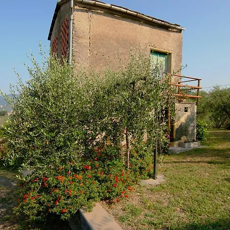 Villa Mariagrazia Lavagna