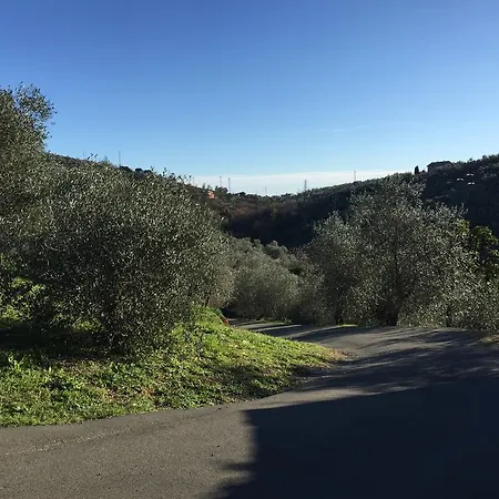 Mariagrazia * Lavagna